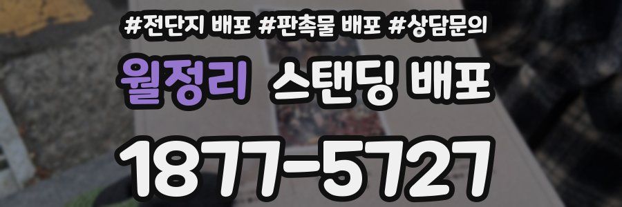월정리 스탠딩 배포