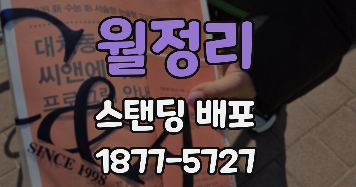 월정리 스탠딩 배포