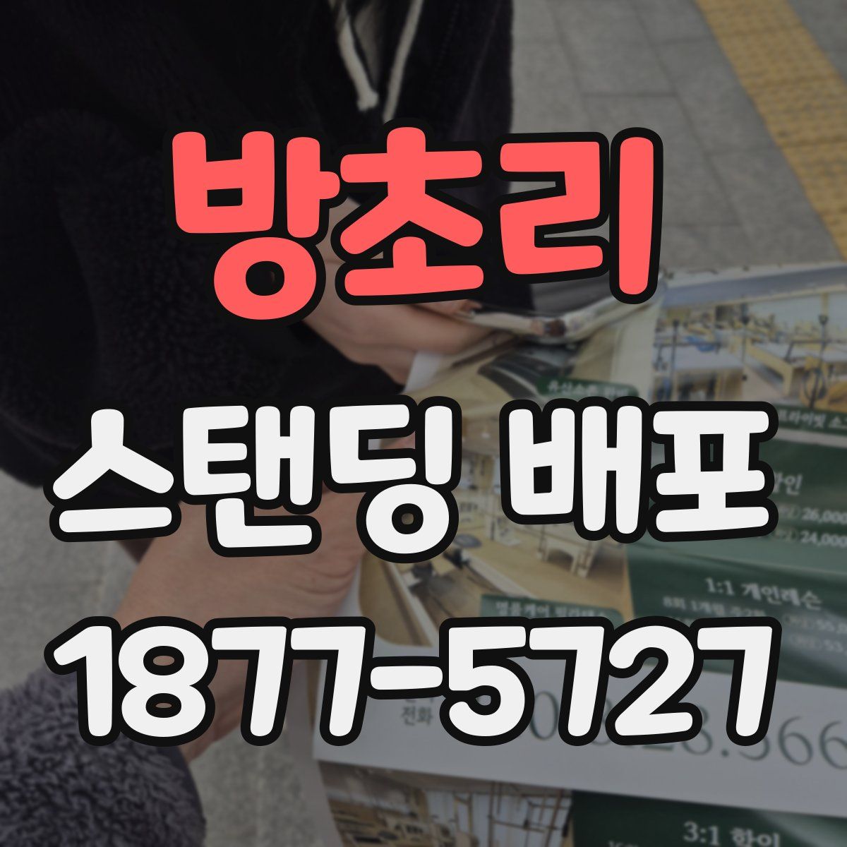 방초리 스탠딩 배포