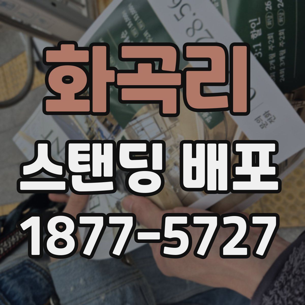 화곡리 스탠딩 배포