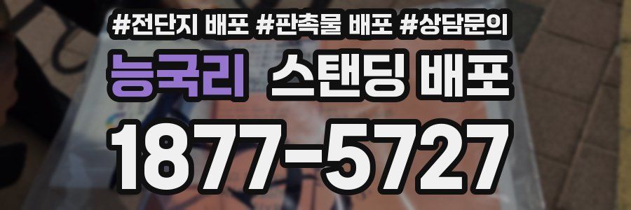 능국리 스탠딩 배포