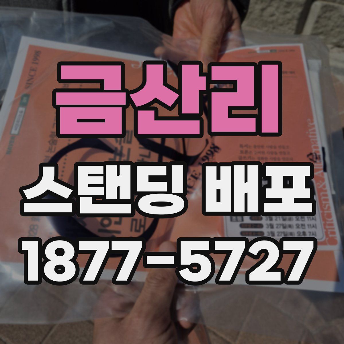 금산리 스탠딩 배포