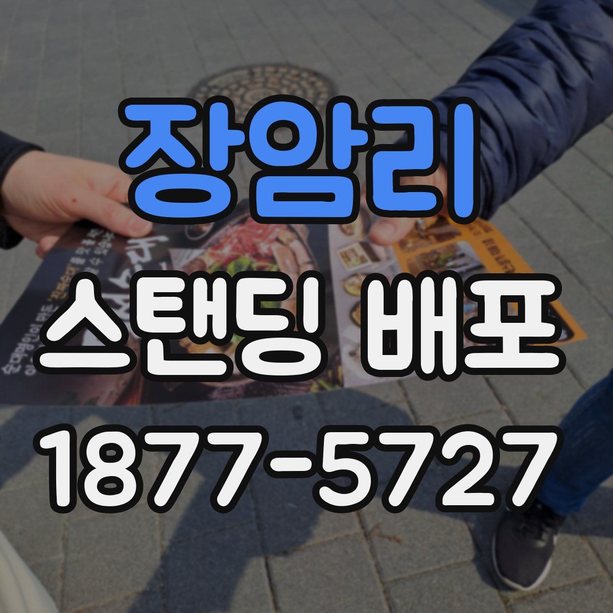 장암리 스탠딩 배포