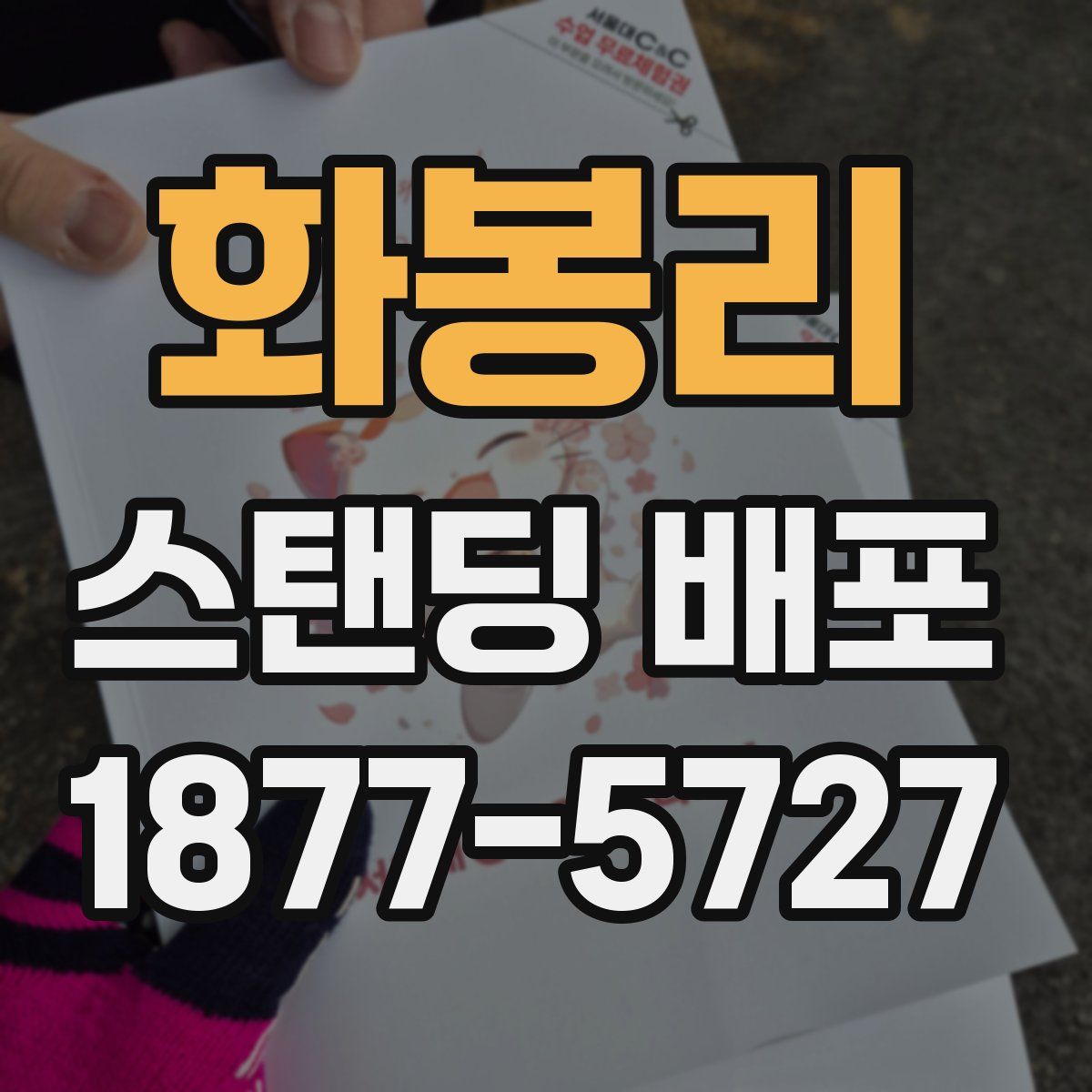 화봉리 스탠딩 배포