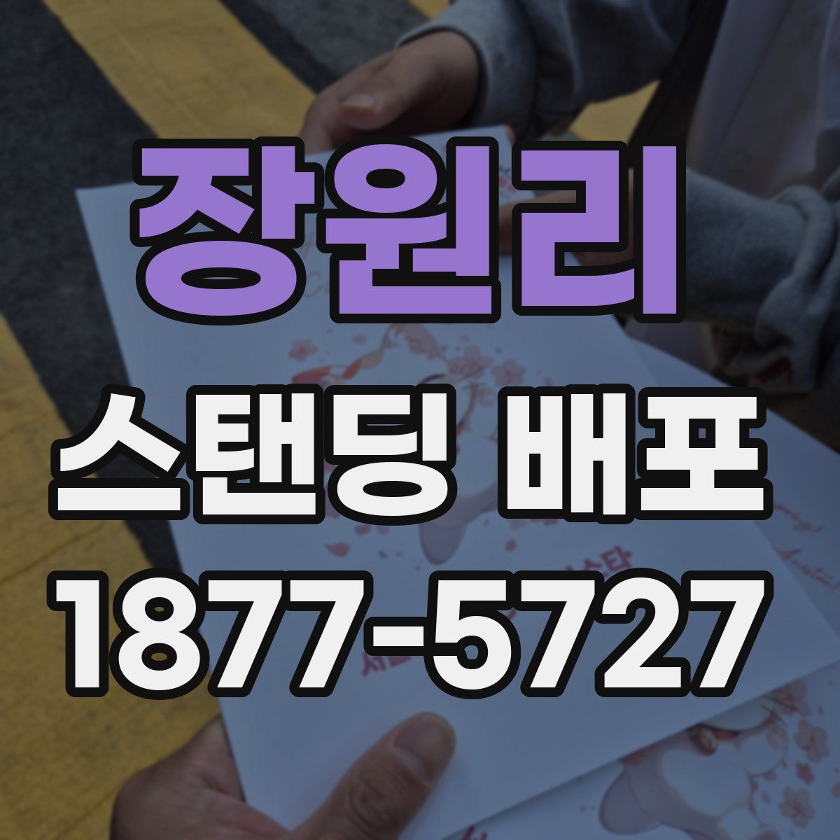 장원리 스탠딩 배포