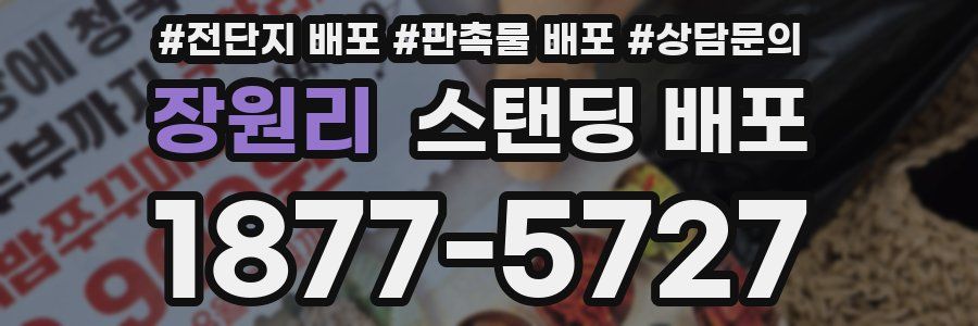 장원리 스탠딩 배포