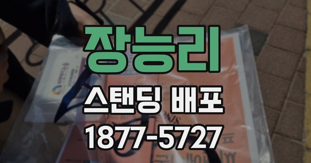 장능리 스탠딩 배포
