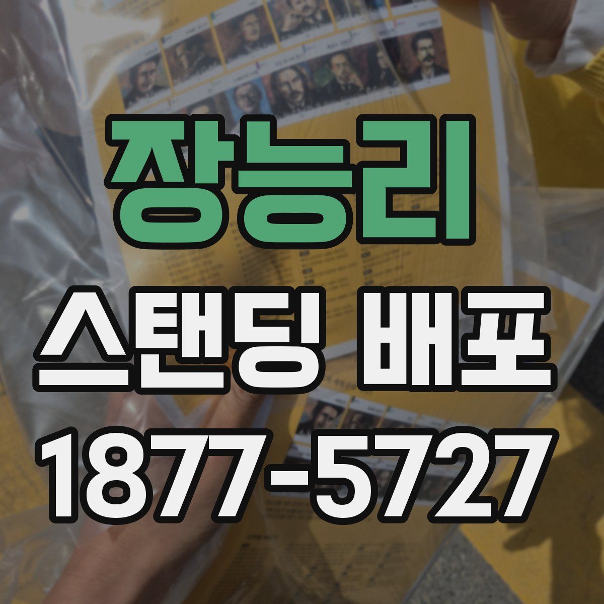 장능리 스탠딩 배포