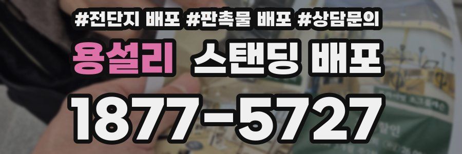 용설리 스탠딩 배포