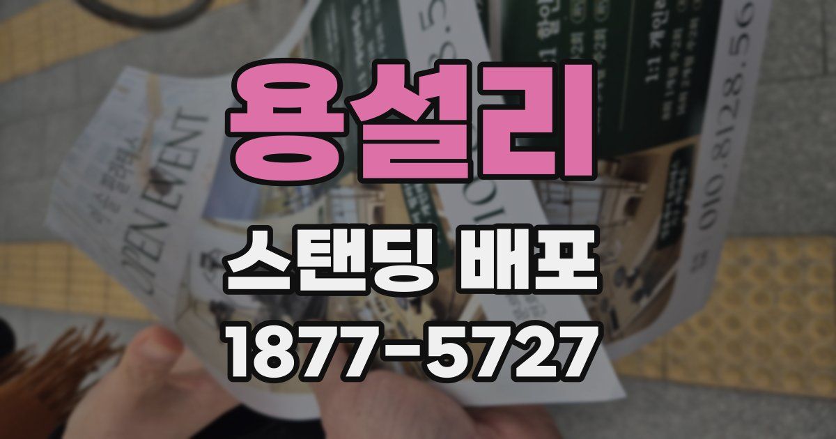 용설리 스탠딩 배포