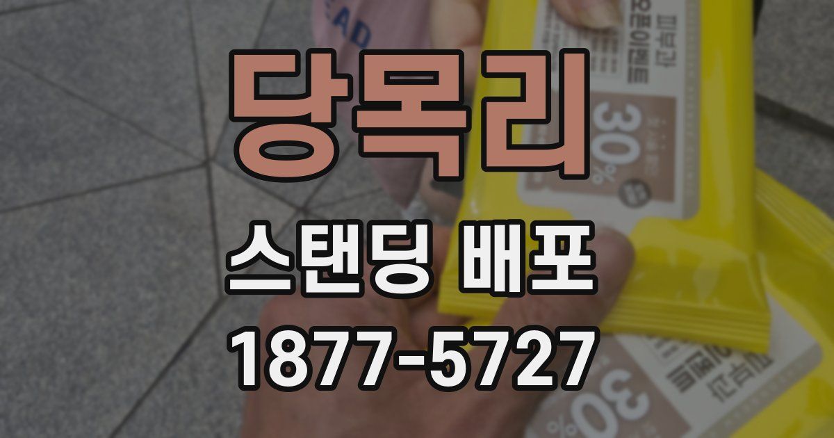 당목리 스탠딩 배포