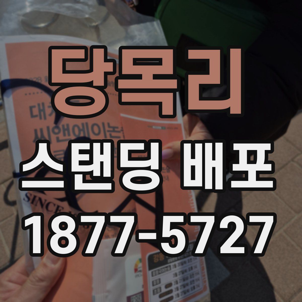 당목리 스탠딩 배포