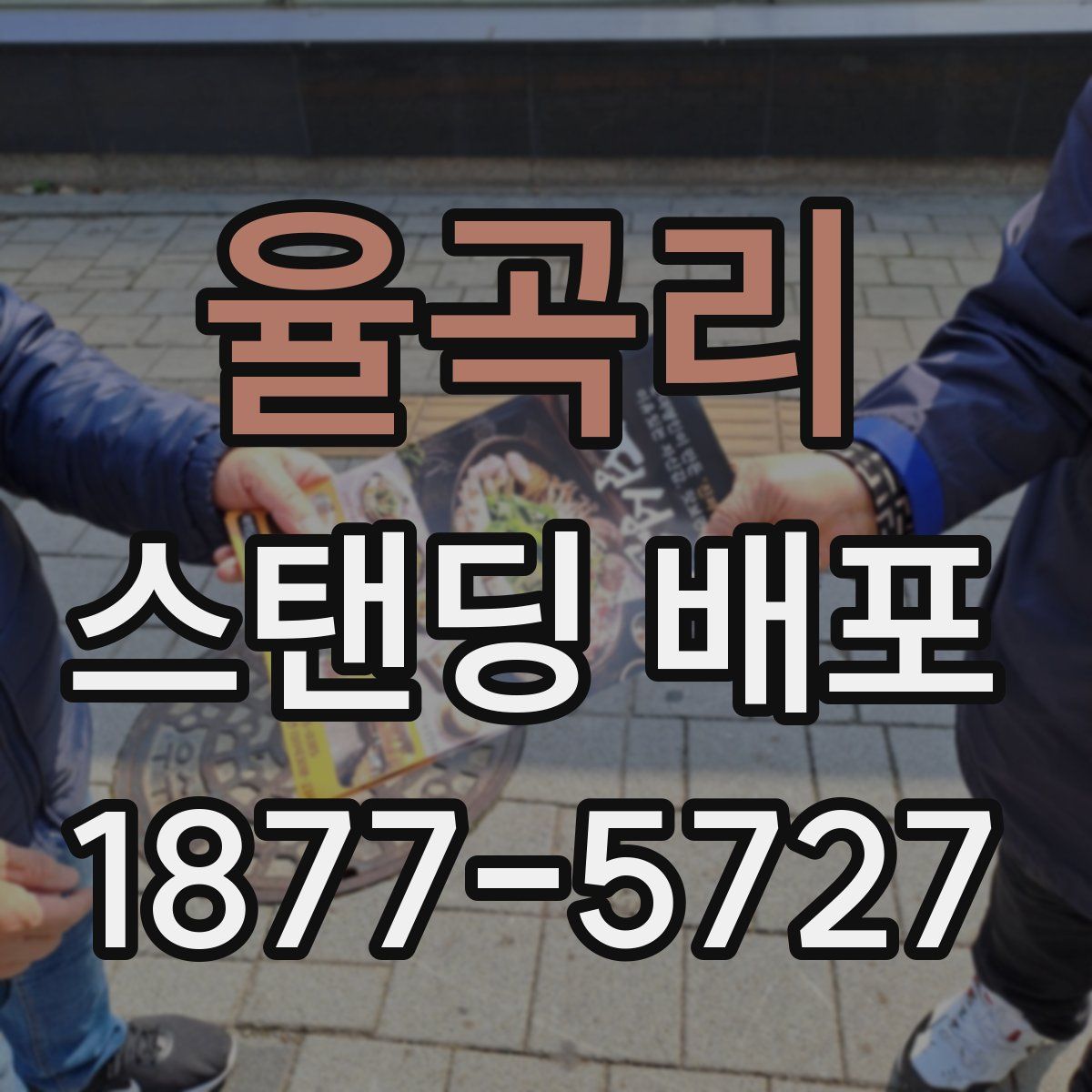 율곡리 스탠딩 배포