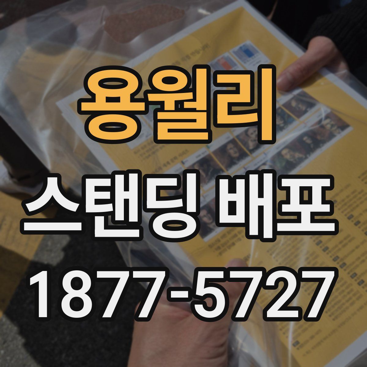 용월리 스탠딩 배포
