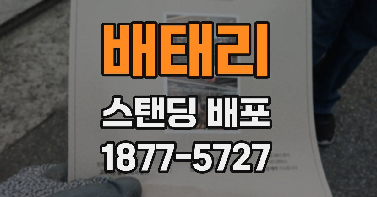 배태리 스탠딩 배포