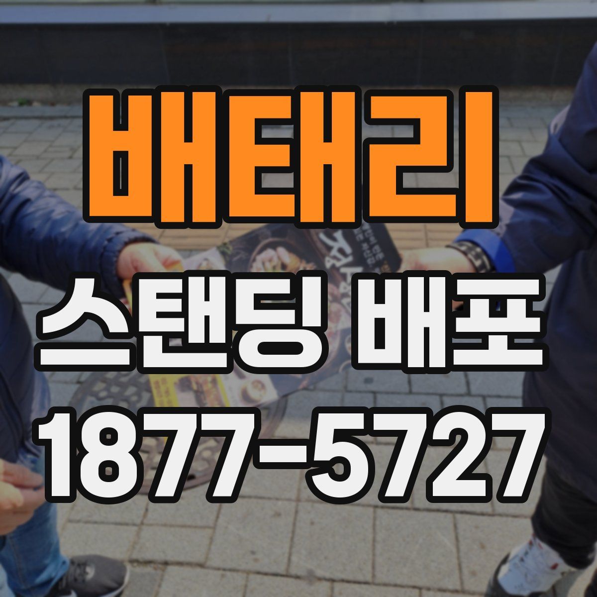배태리 스탠딩 배포