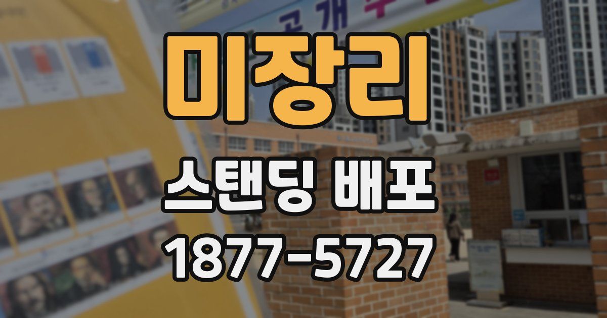 미장리 스탠딩 배포