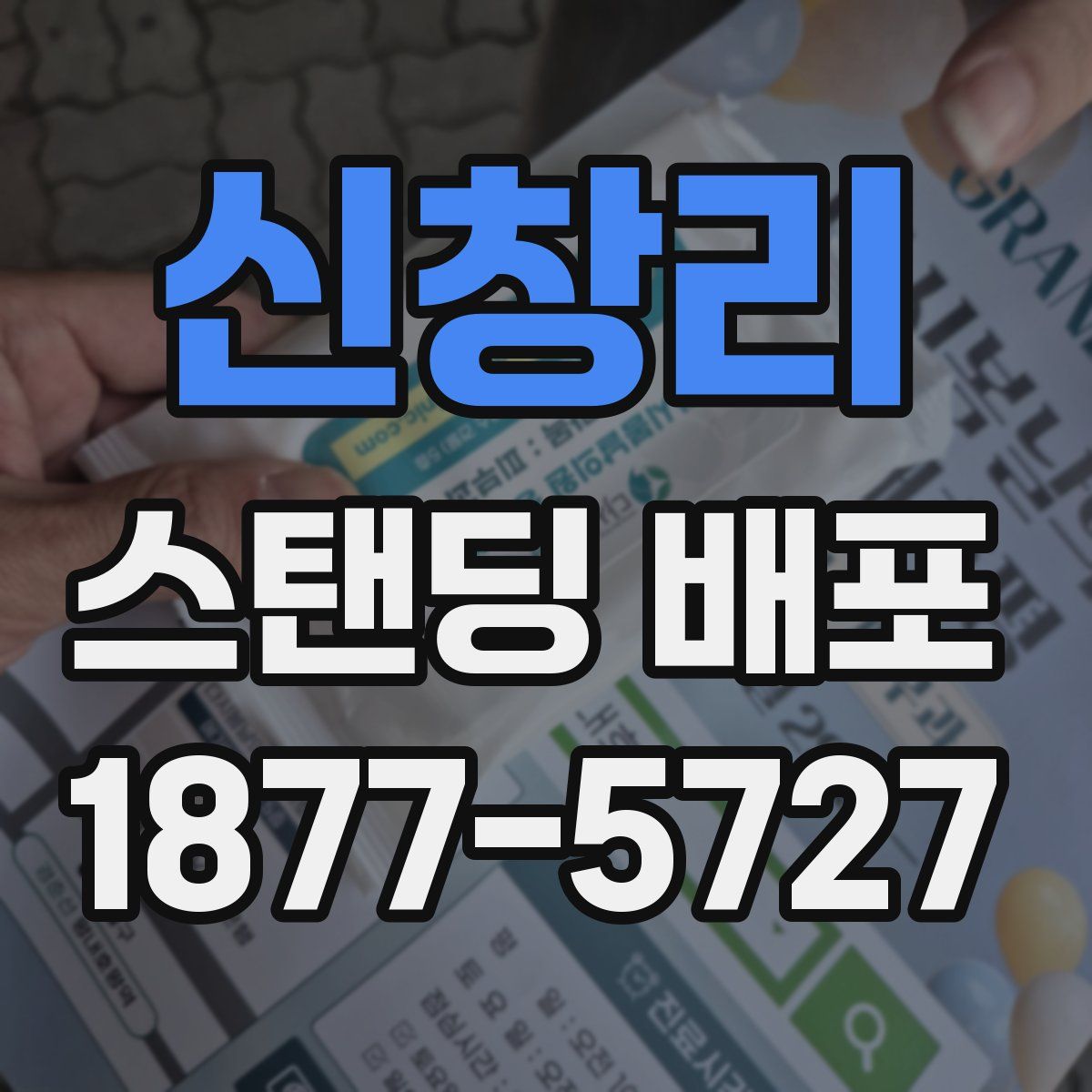 신창리 스탠딩 배포