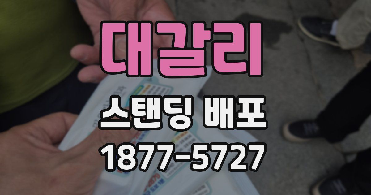 대갈리 스탠딩 배포