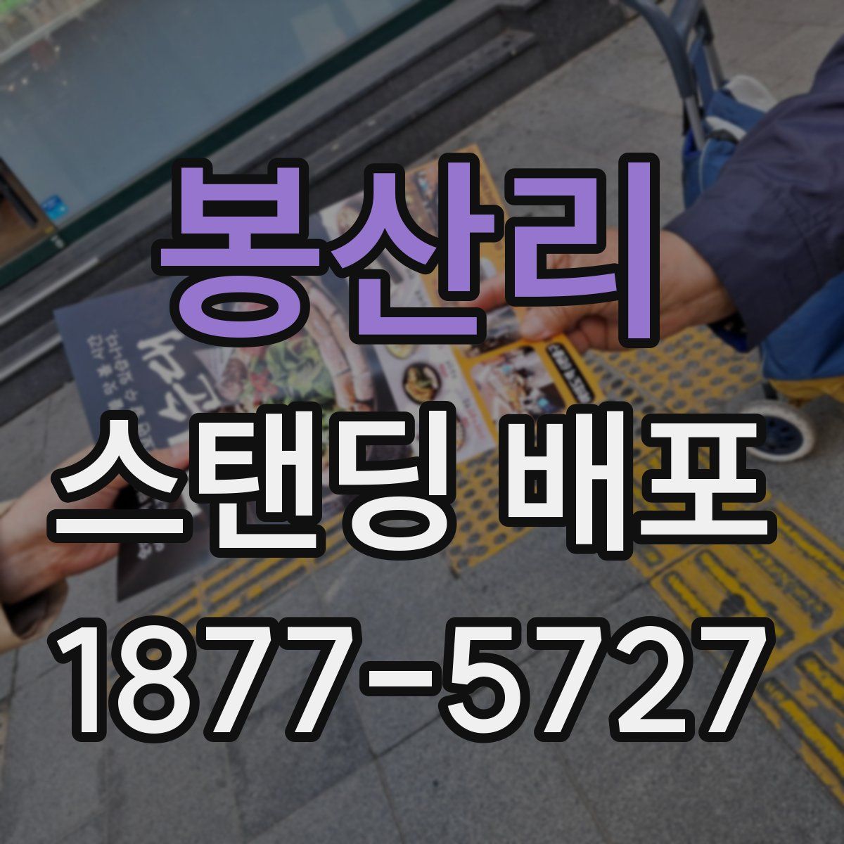 봉산리 스탠딩 배포