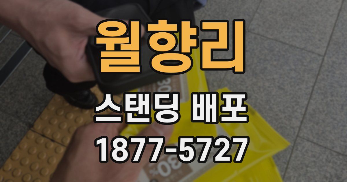 월향리 스탠딩 배포