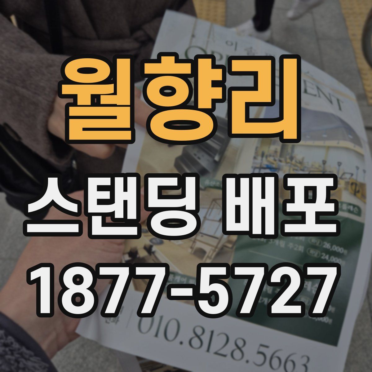 월향리 스탠딩 배포