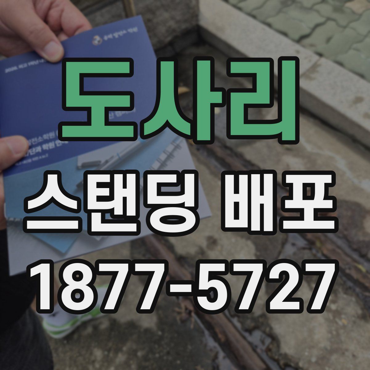 도사리 스탠딩 배포