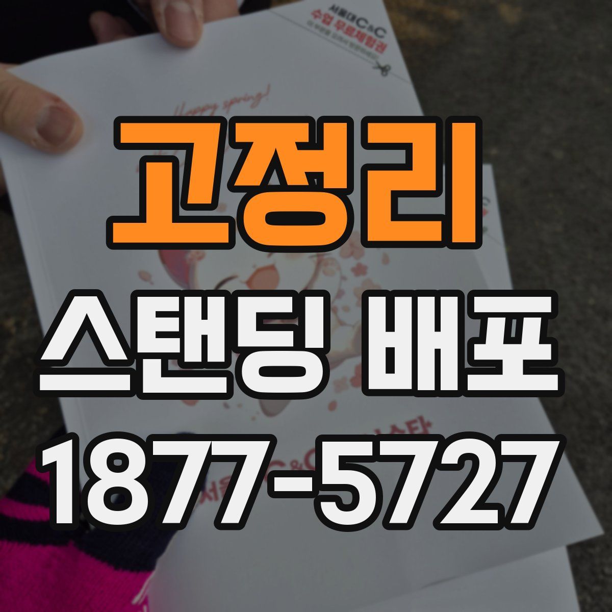 고정리 스탠딩 배포