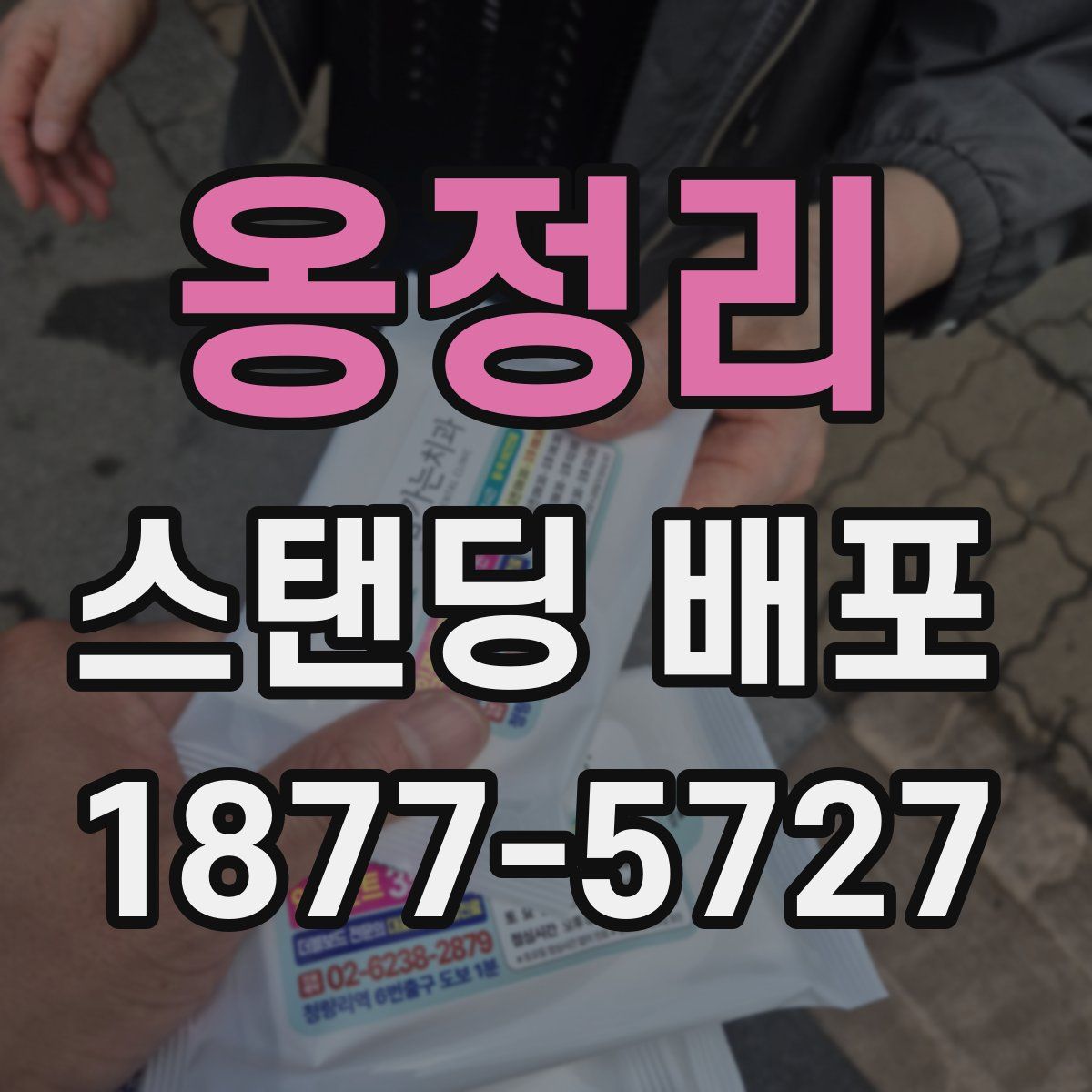 옹정리 스탠딩 배포