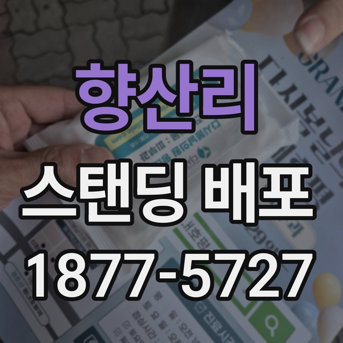 향산리 스탠딩 배포