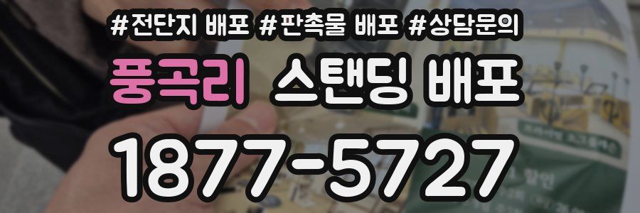 풍곡리 스탠딩 배포