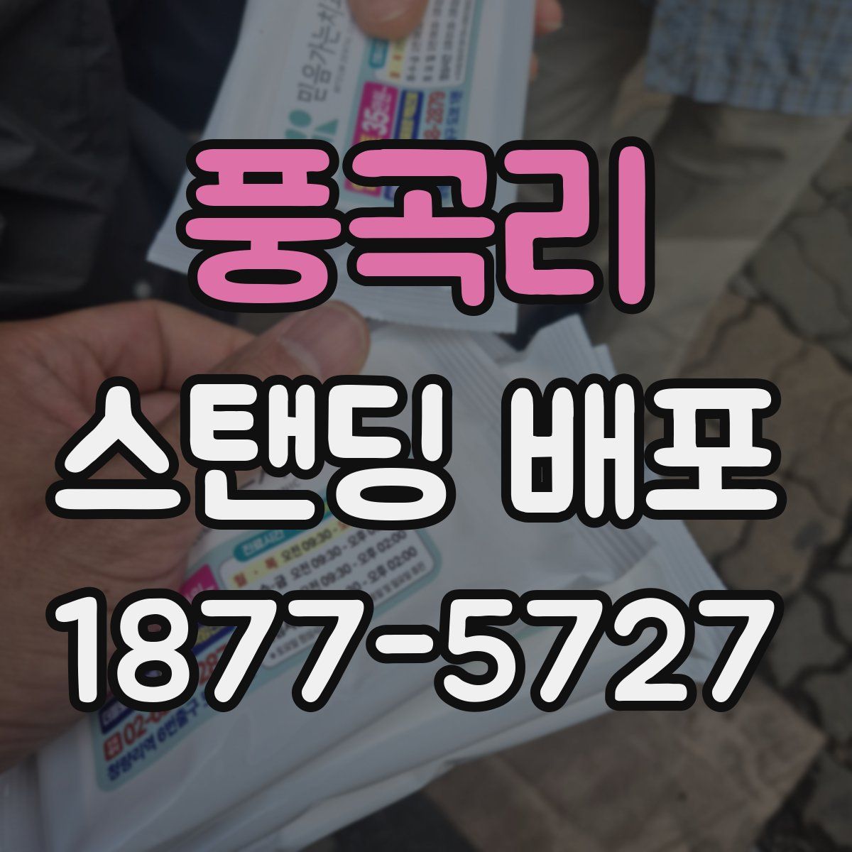 풍곡리 스탠딩 배포