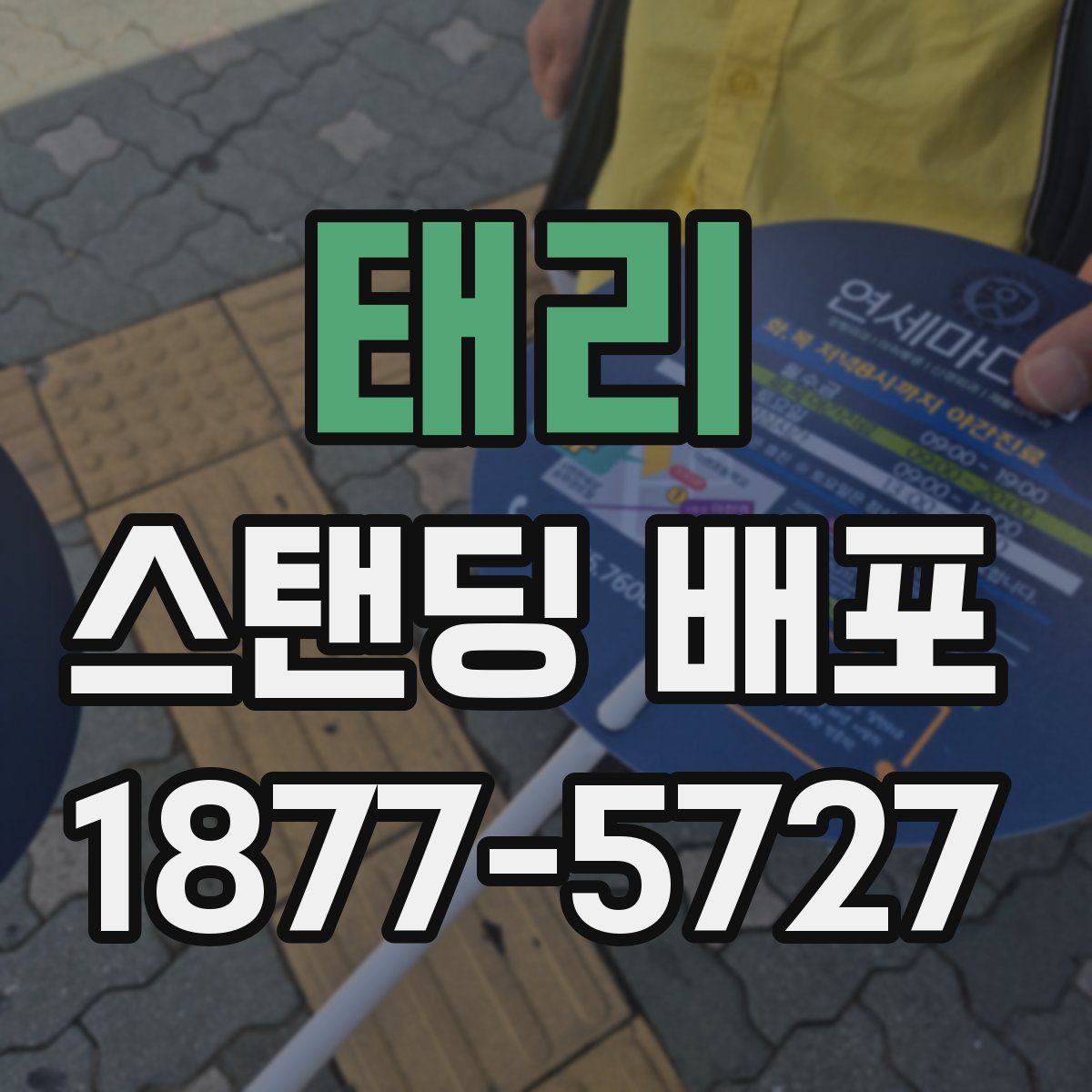 태리 스탠딩 배포