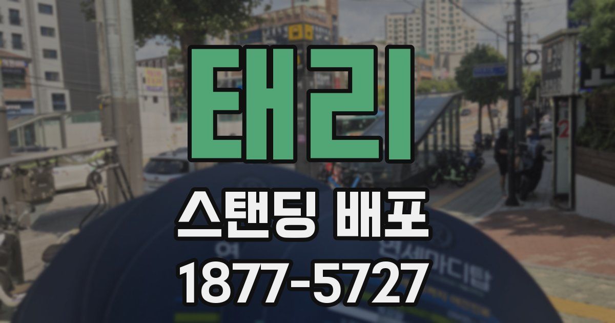 태리 스탠딩 배포