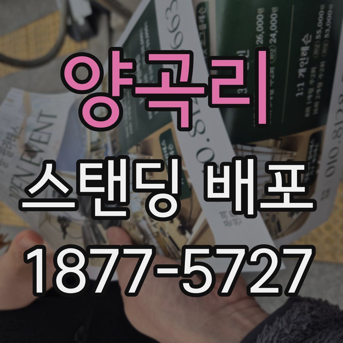 양곡리 스탠딩 배포