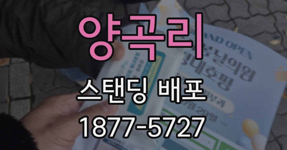 양곡리 스탠딩 배포