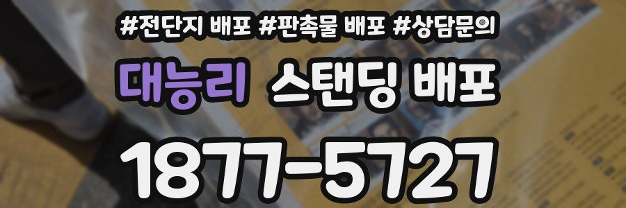 대능리 스탠딩 배포