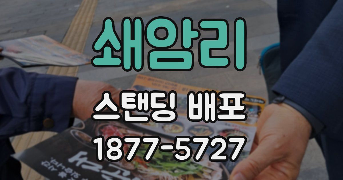 쇄암리 스탠딩 배포