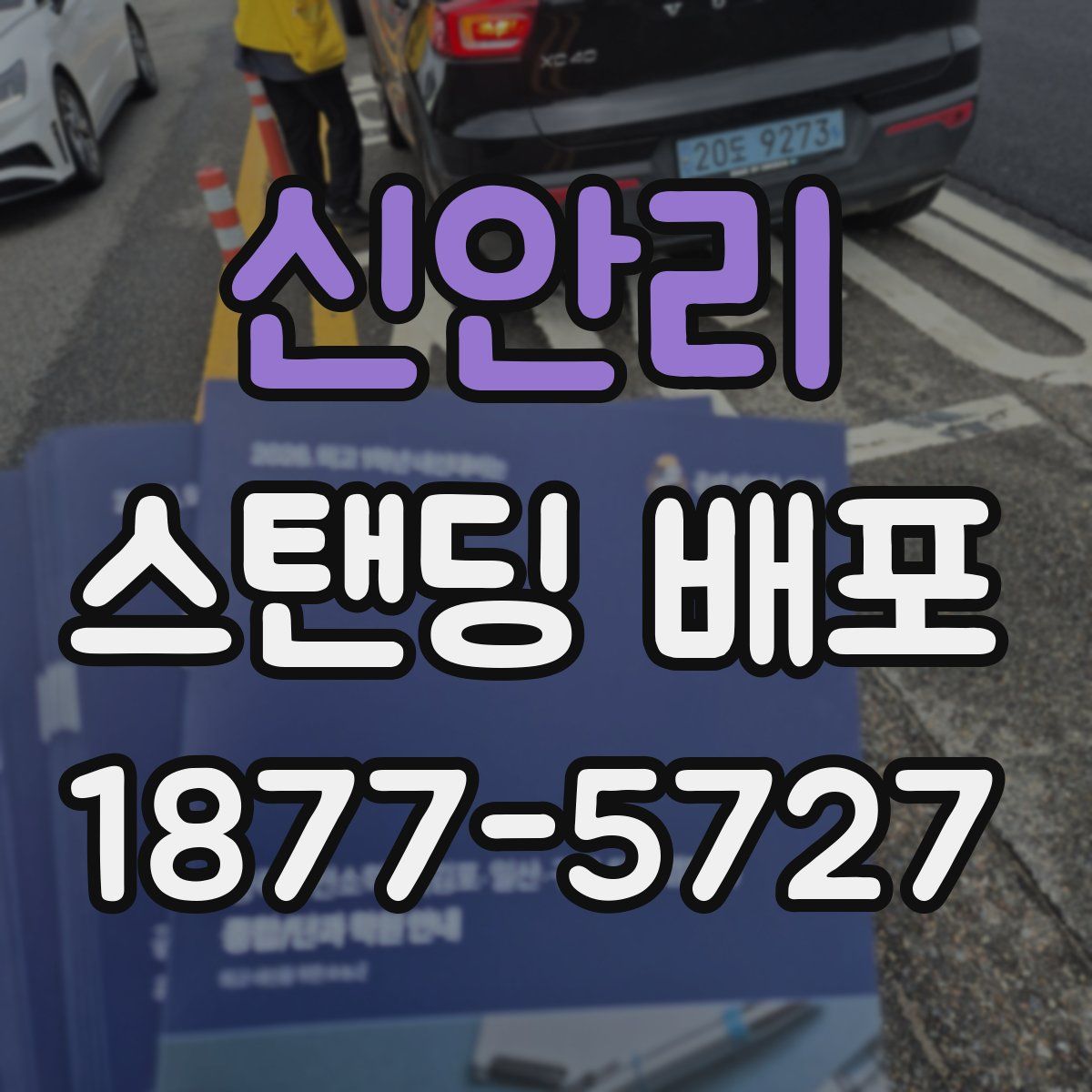 신안리 스탠딩 배포