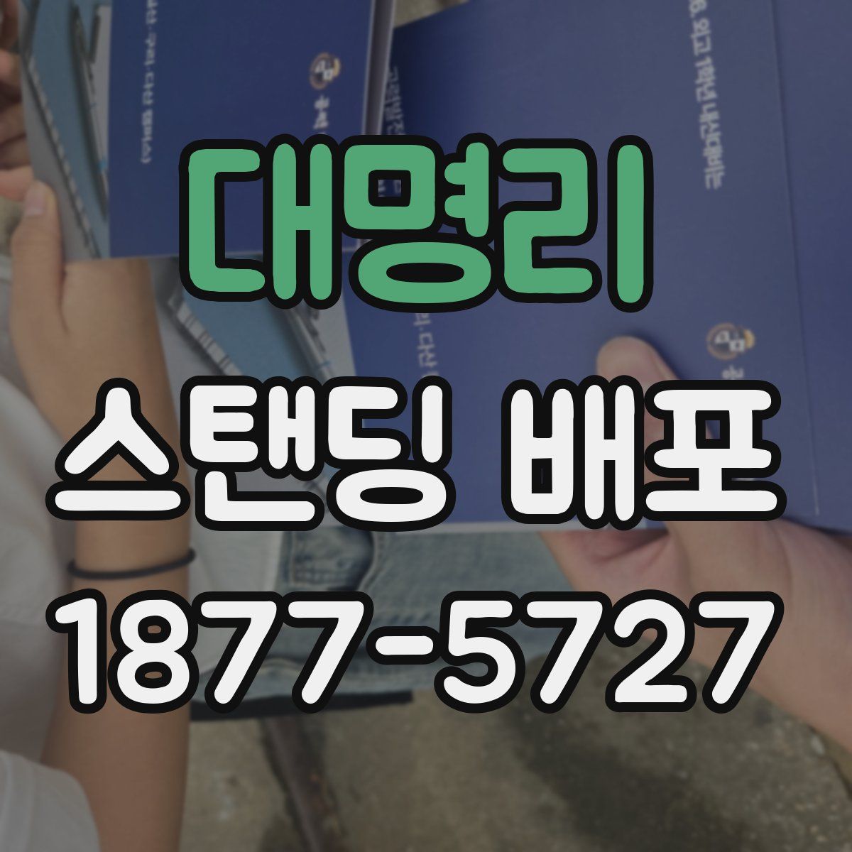 대명리 스탠딩 배포
