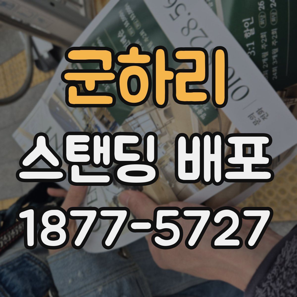 군하리 스탠딩 배포