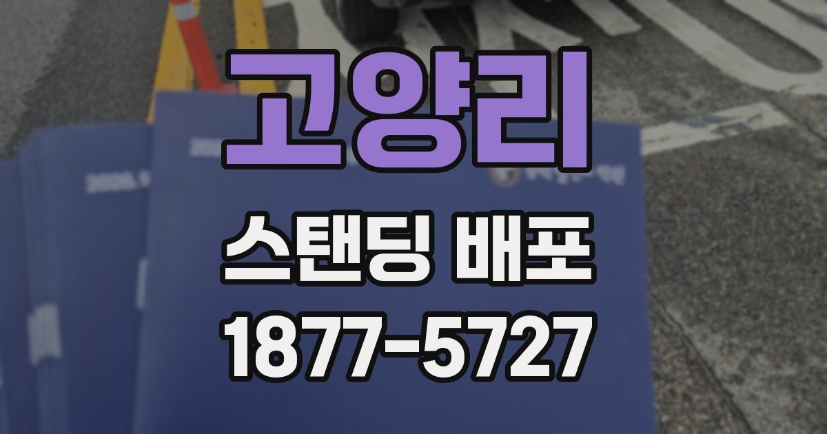 고양리 스탠딩 배포