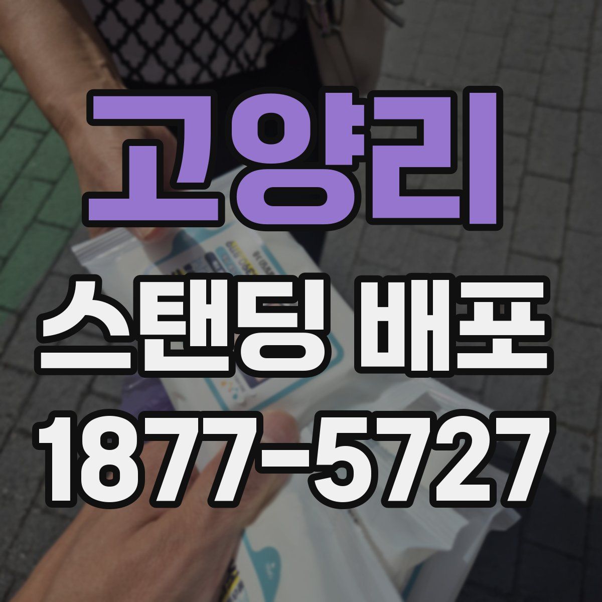 고양리 스탠딩 배포