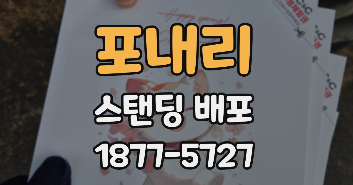 포내리 스탠딩 배포