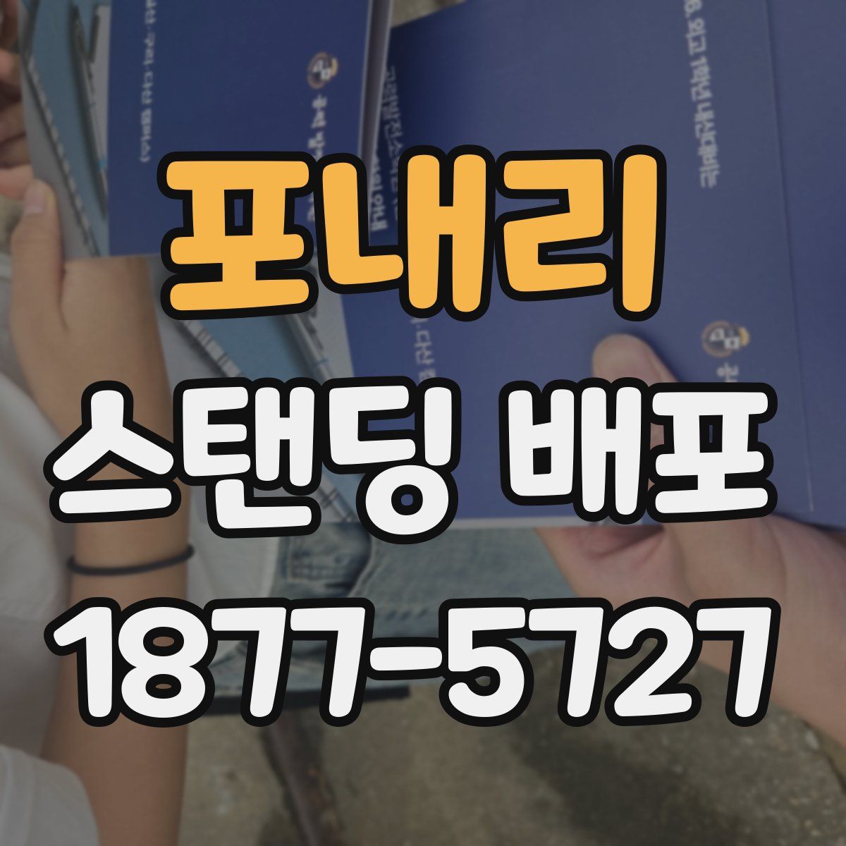 포내리 스탠딩 배포