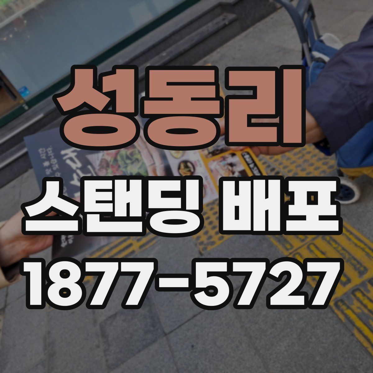 성동리 스탠딩 배포