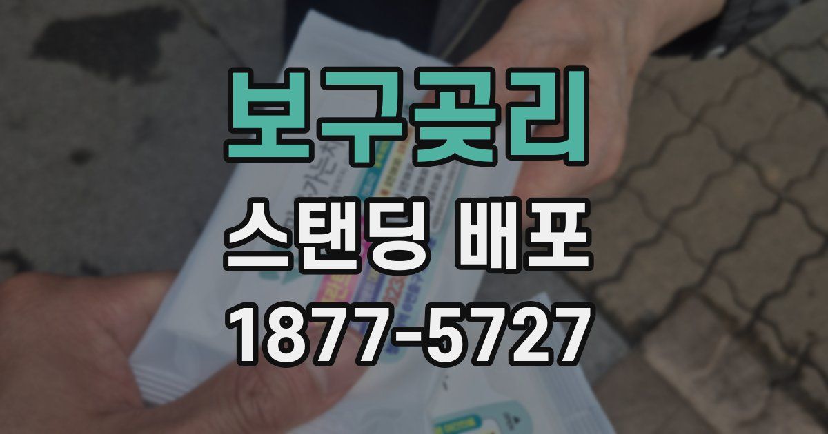 보구곶리 스탠딩 배포