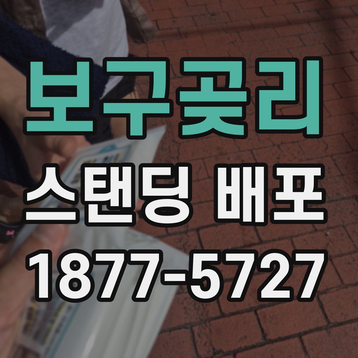 보구곶리 스탠딩 배포