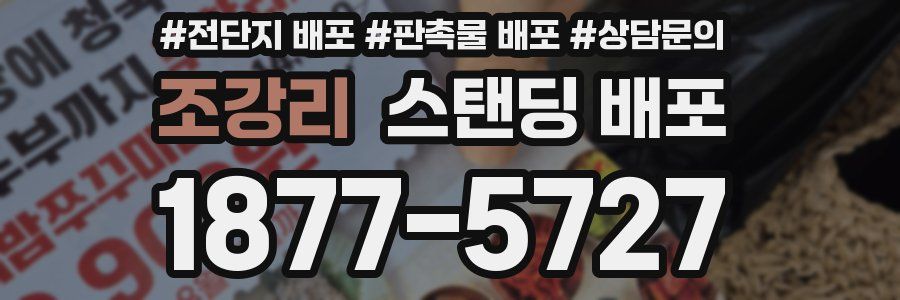 조강리 스탠딩 배포