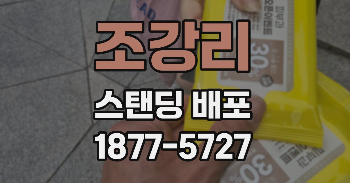 조강리 스탠딩 배포